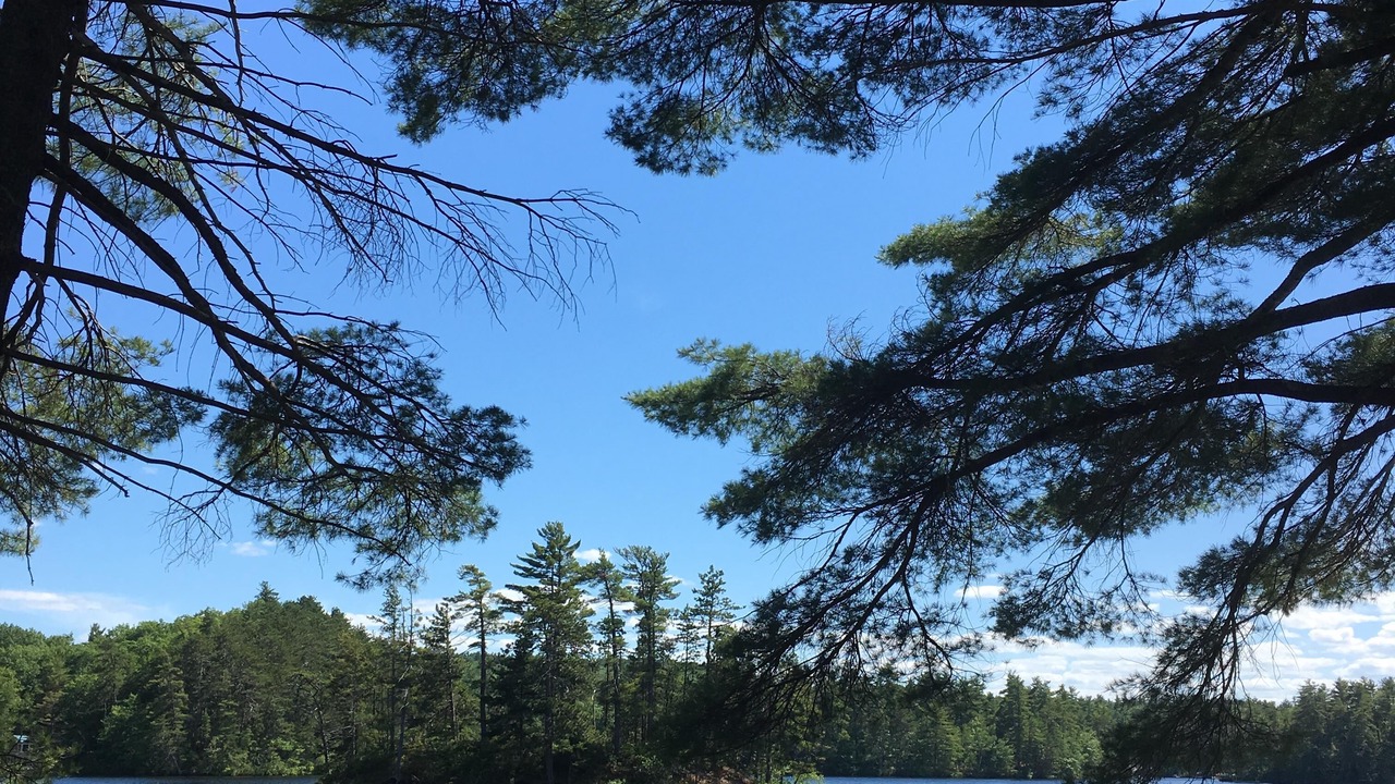 Photo of Outdoor in West Newfield