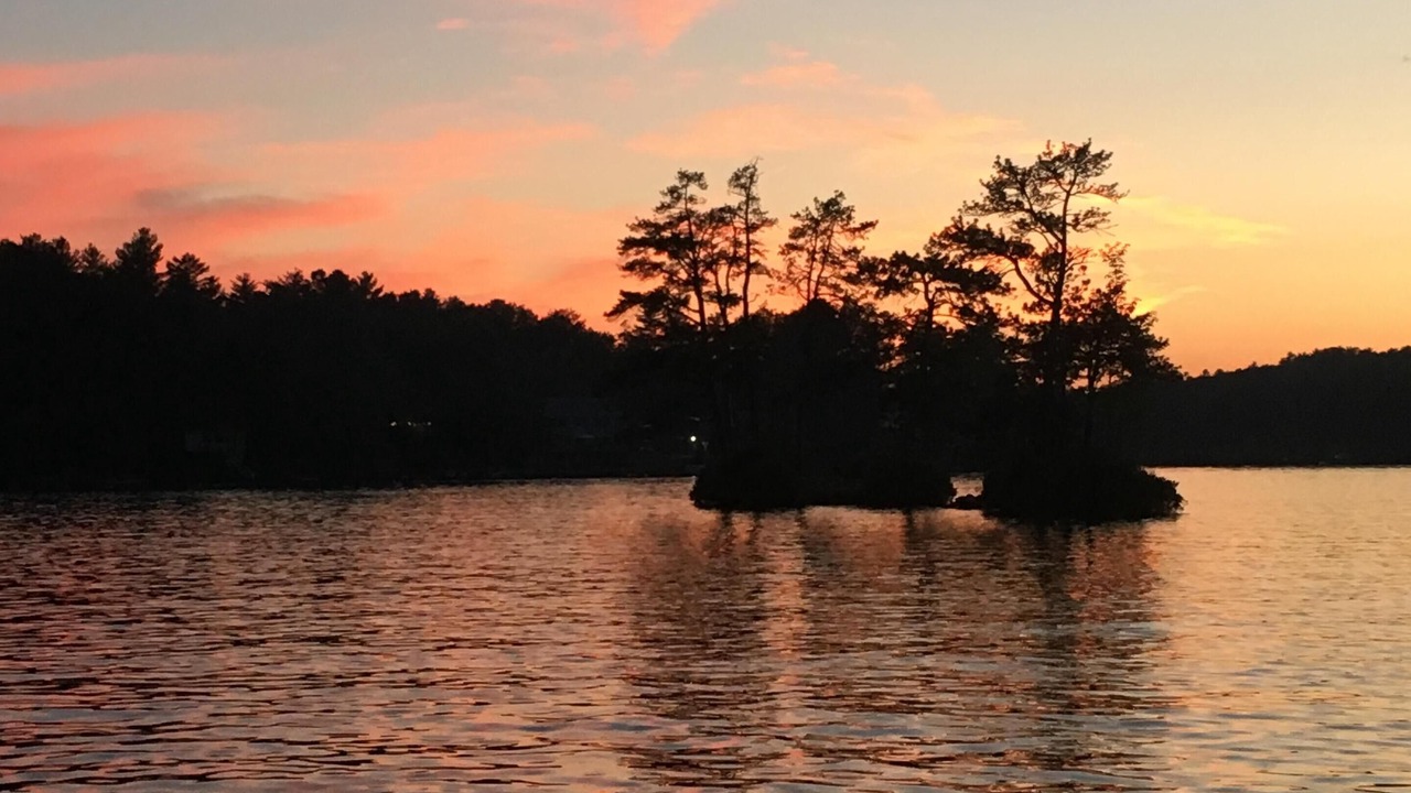 Photo of Others in West Newfield