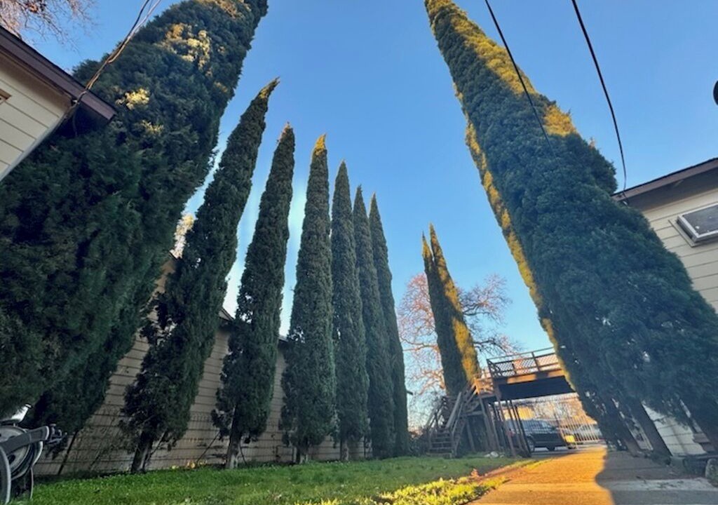 Photo of Others in Clearlake