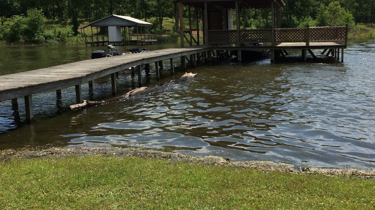 Photo of Outdoor in Quitman