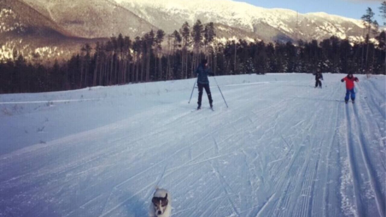 Photo of Others in West Glacier