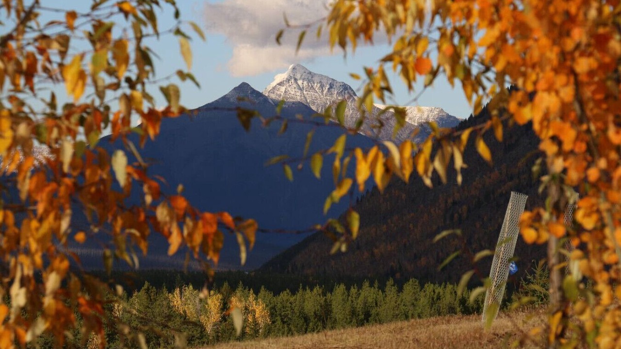 Photo of Others in West Glacier