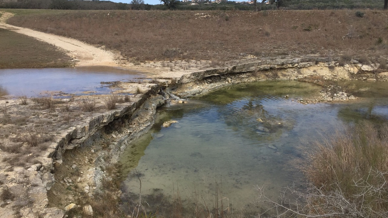 Photo of Others in Boerne