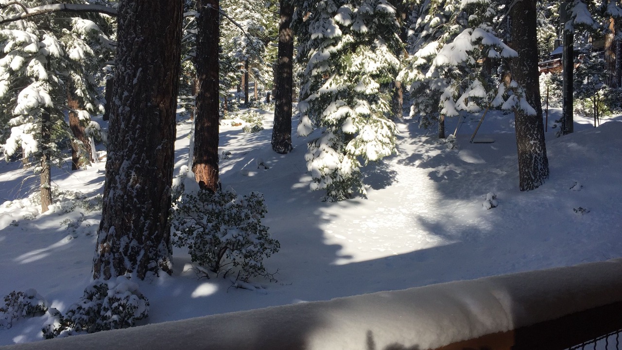 Photo of Others in Tahoe Woods