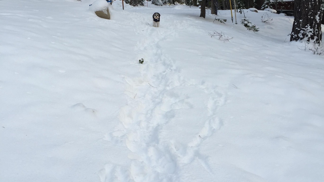 Photo of Others in Tahoe Woods