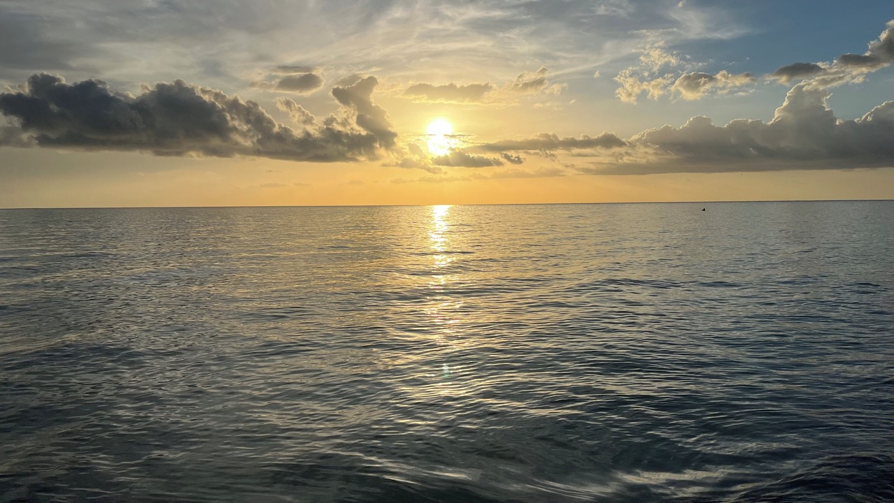 Photo of Others in Vanderbilt Beach