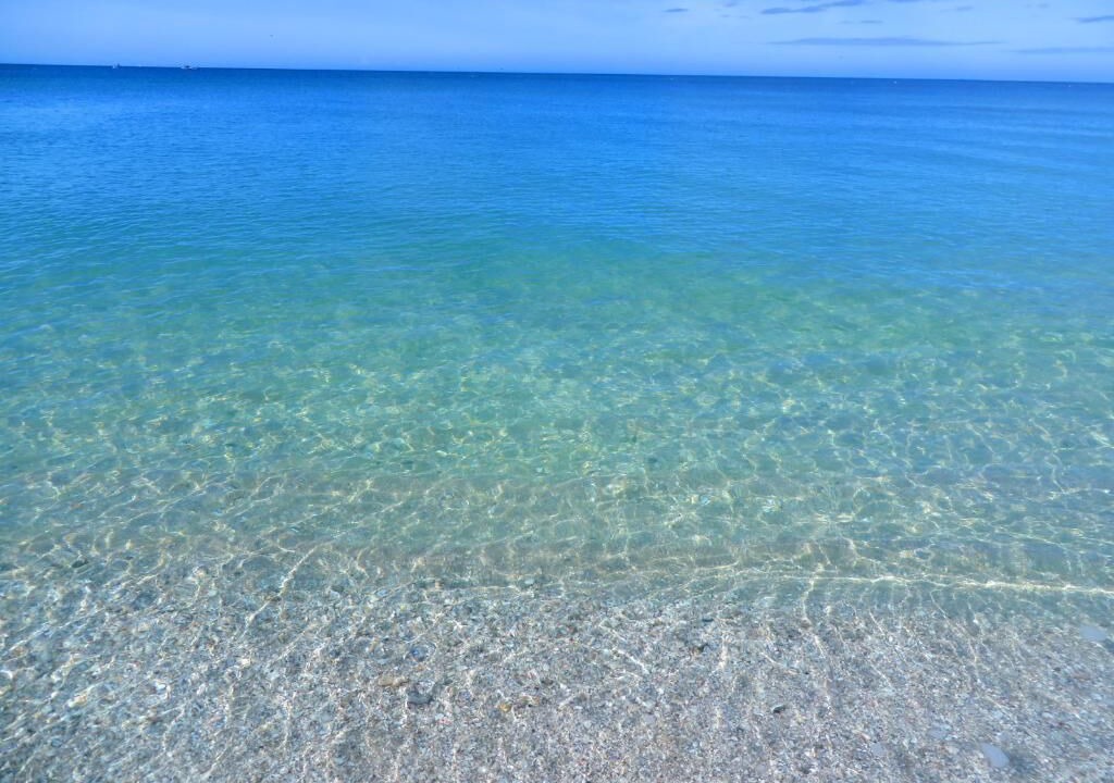 Photo of Others in Vanderbilt Beach