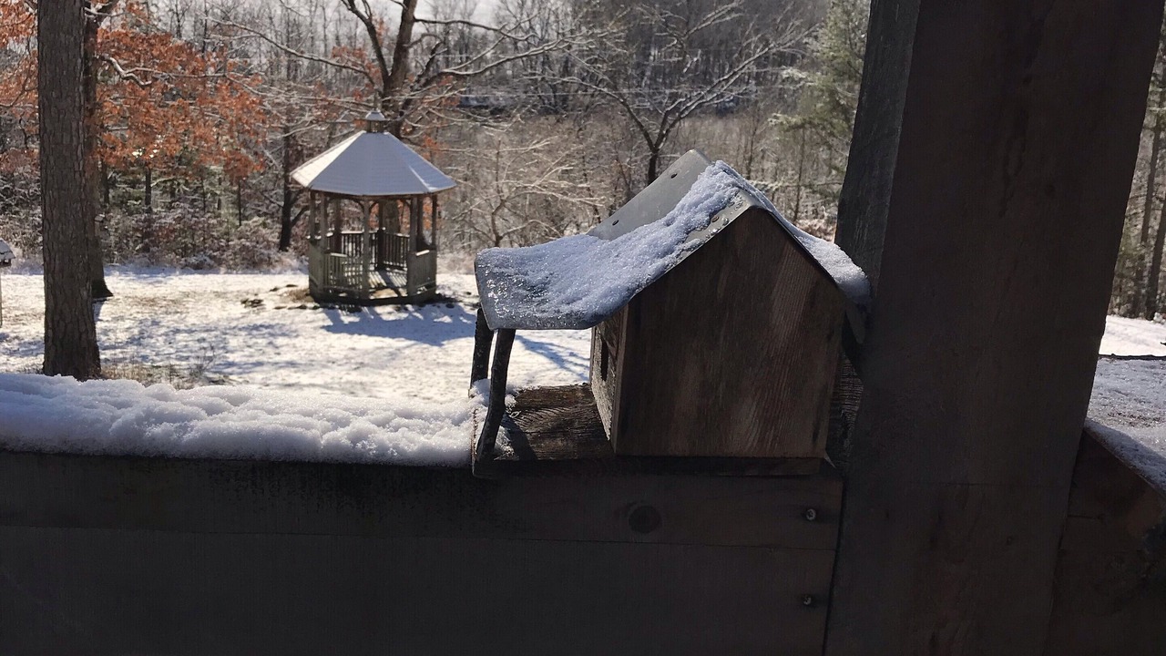 Photo of Outdoor in Jasper