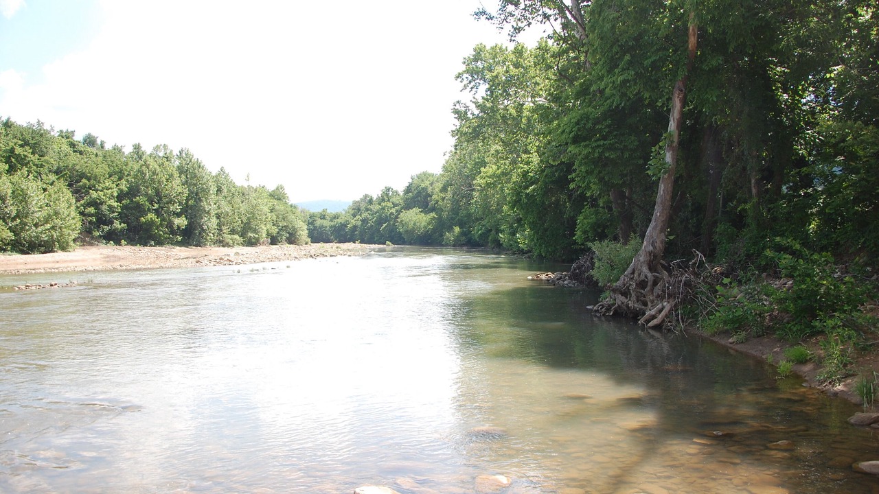 Photo of Others in Jasper