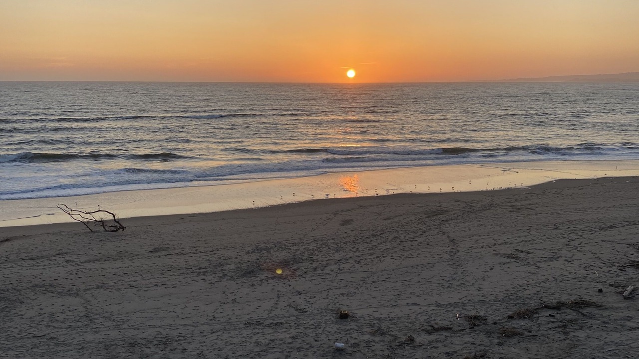 Photo of Others in La Selva Beach