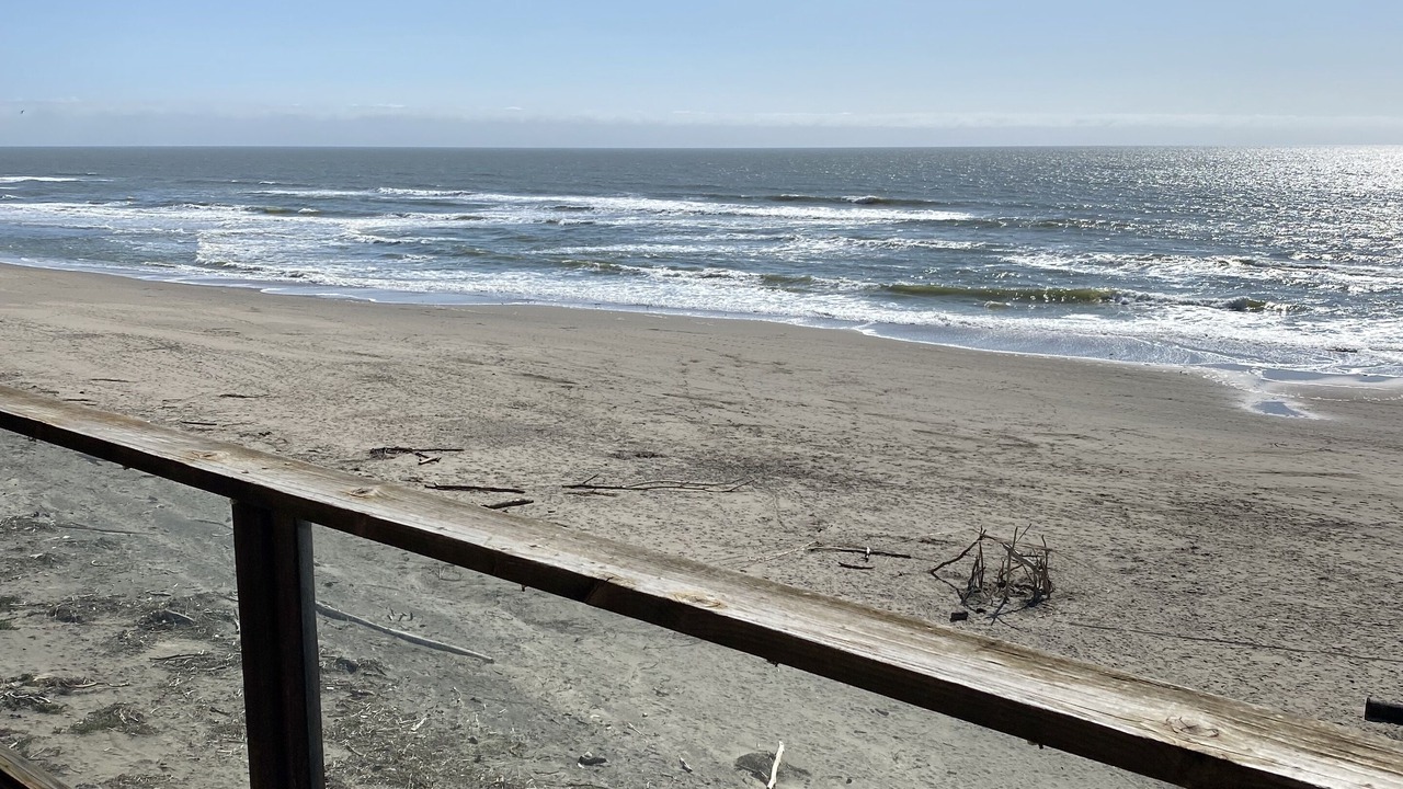 Photo of Others in La Selva Beach