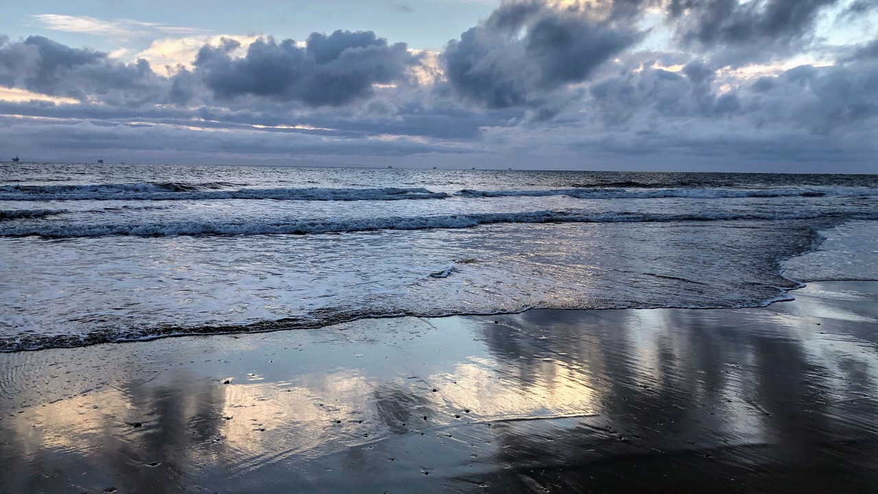 Photo of Others in Carpinteria