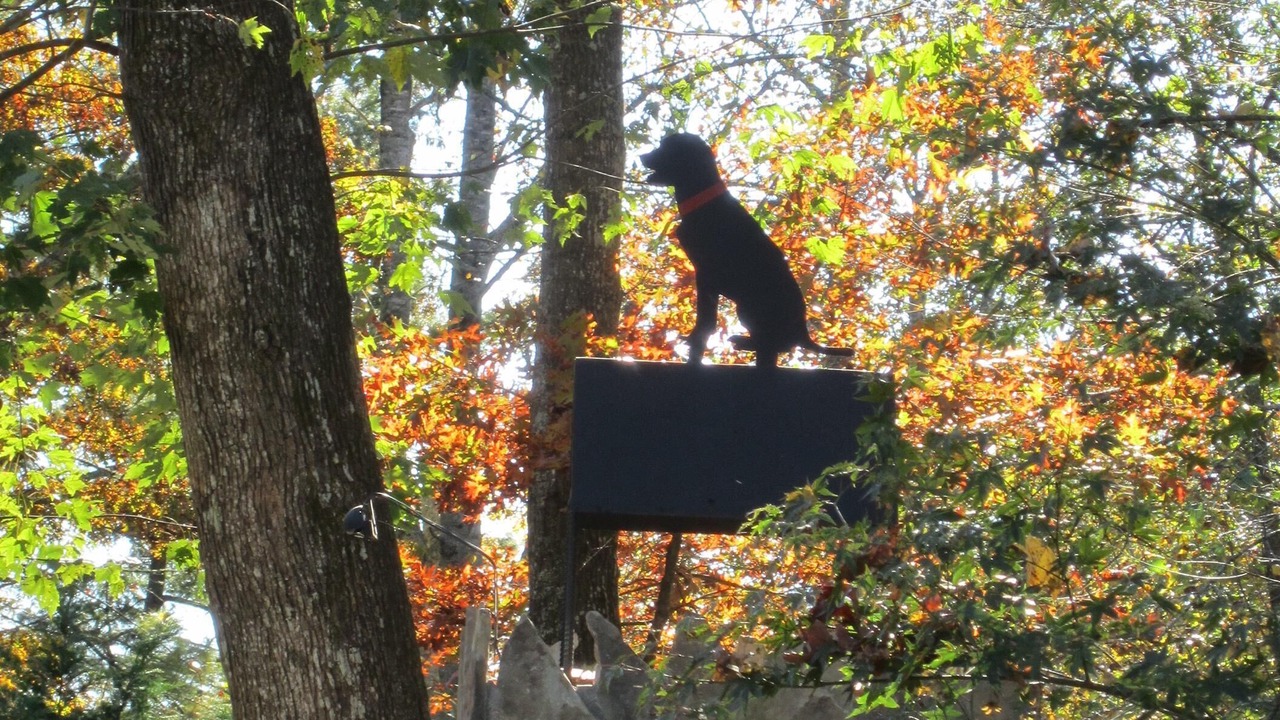 Photo of Others in Hendersonville
