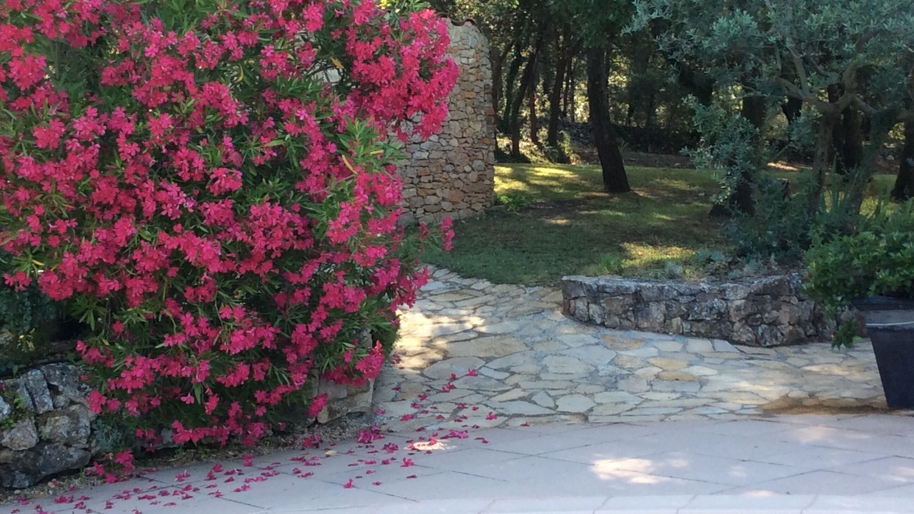 Photo of Outdoor in Ponteves
