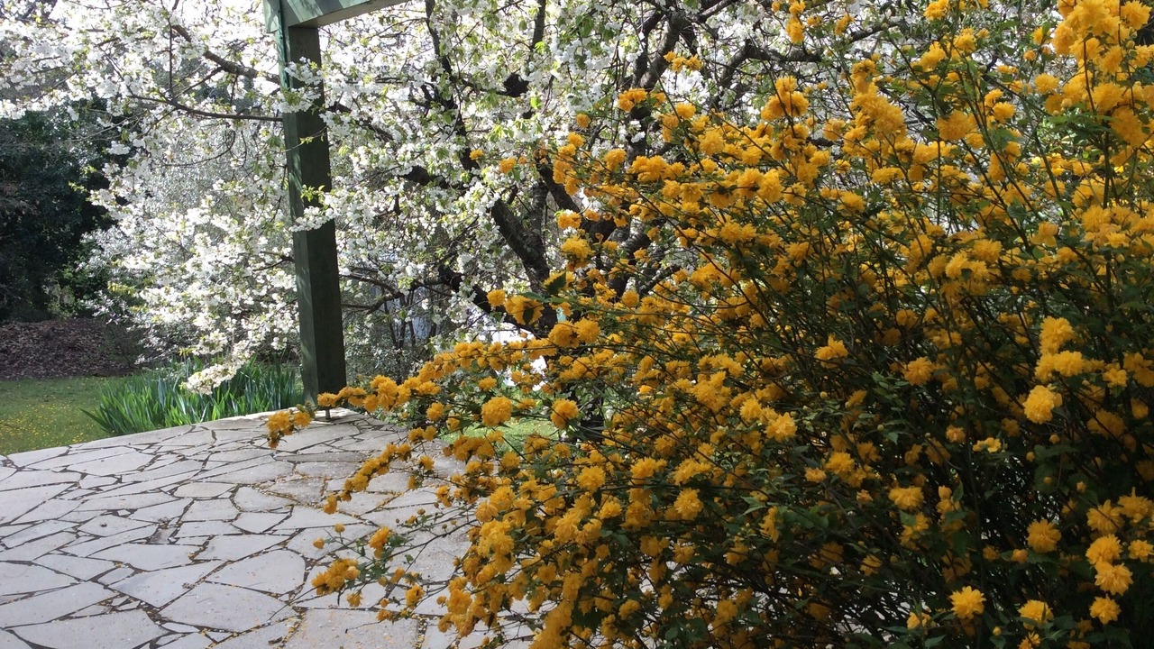 Photo of Outdoor in Ponteves