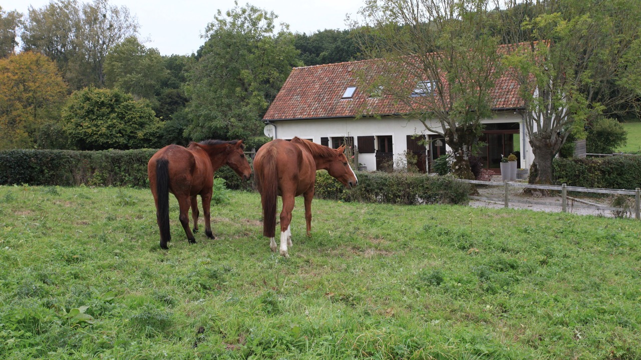 Photo of Outdoor in Desvres