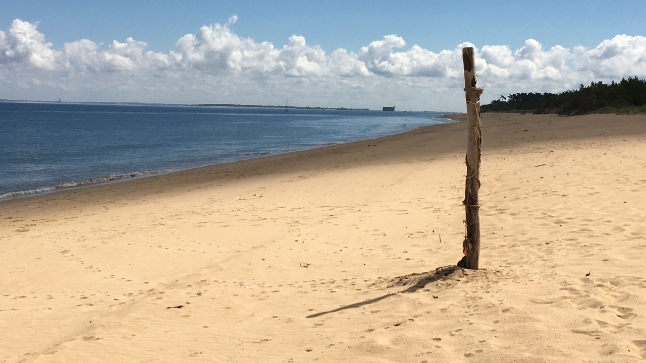 Photo of Others in Saint-Pierre-d'Oleron