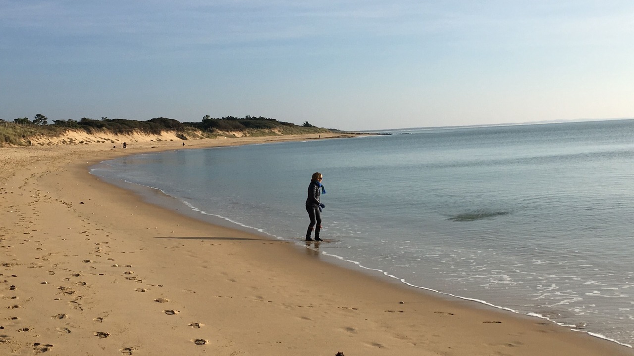 Photo of Others in Saint-Pierre-d'Oleron