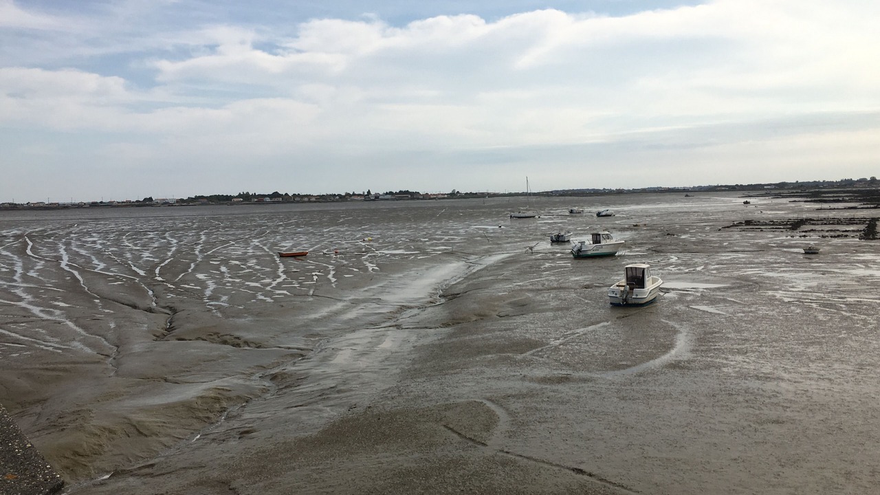 Photo of Others in Saint-Pierre-d'Oleron