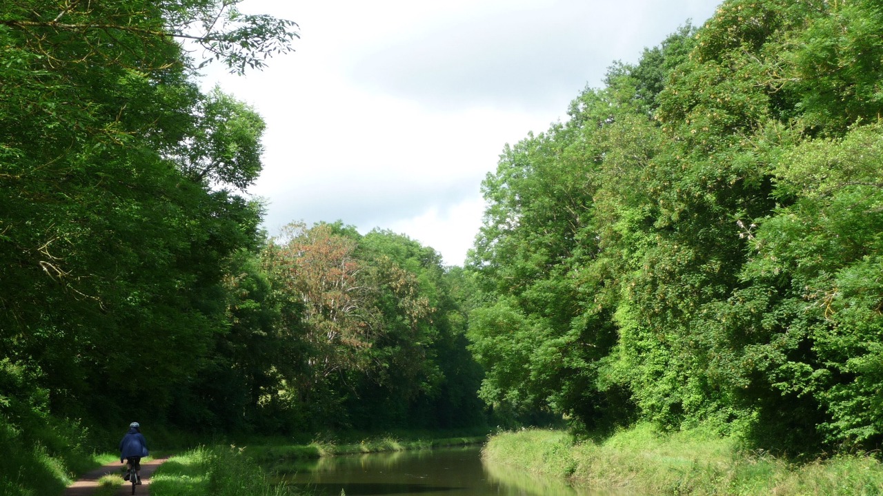 Photo of Outdoor in Dirol