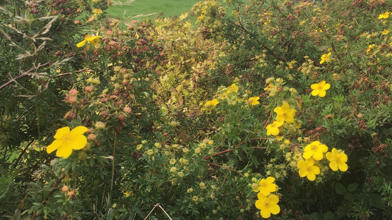Photo of Outdoor in Tingry