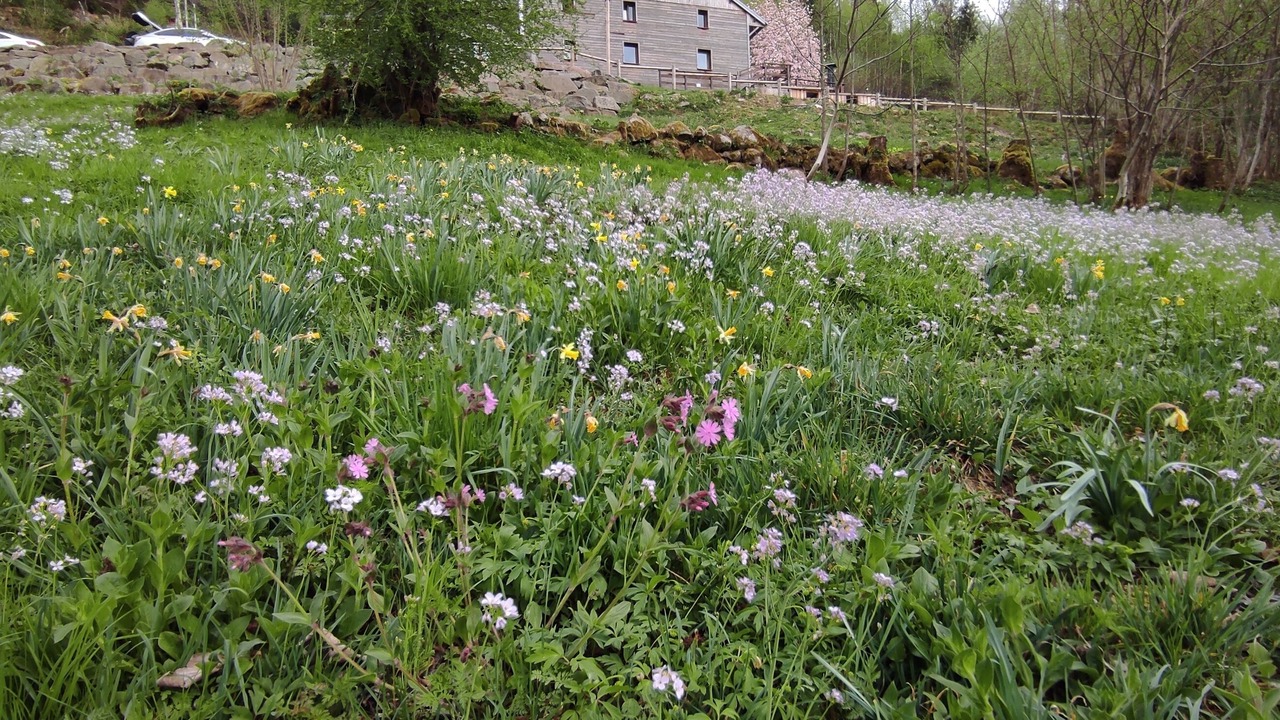 Photo of Outdoor in Travexin