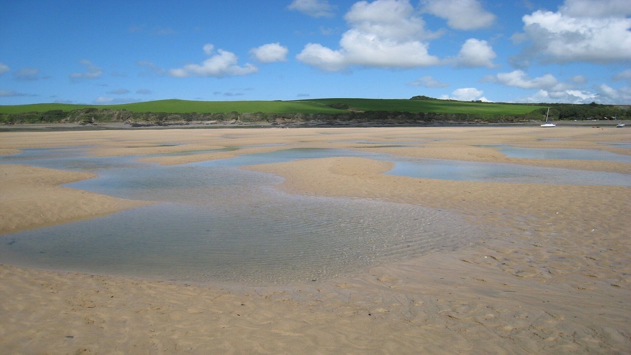 Photo of Others in Rock