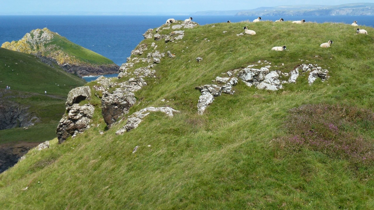 Photo of Outdoor in Rock