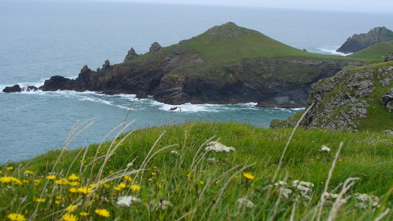 Photo of Others in Rock