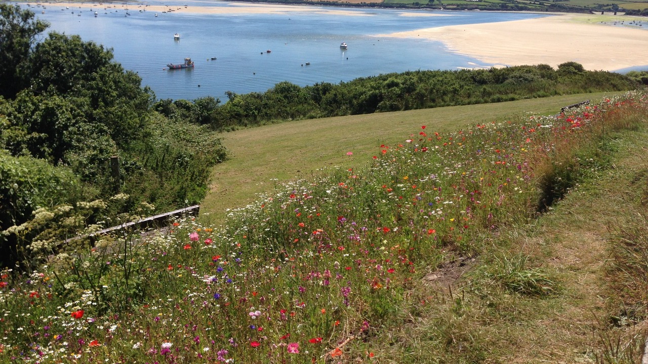 Photo of Outdoor in Rock