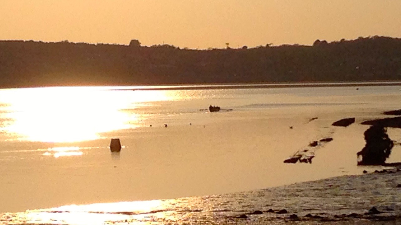 Photo of Others in Rock