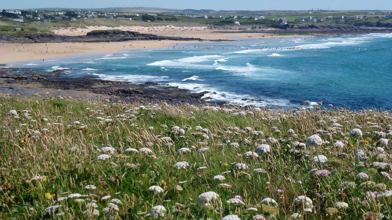 Photo of Others in Rock