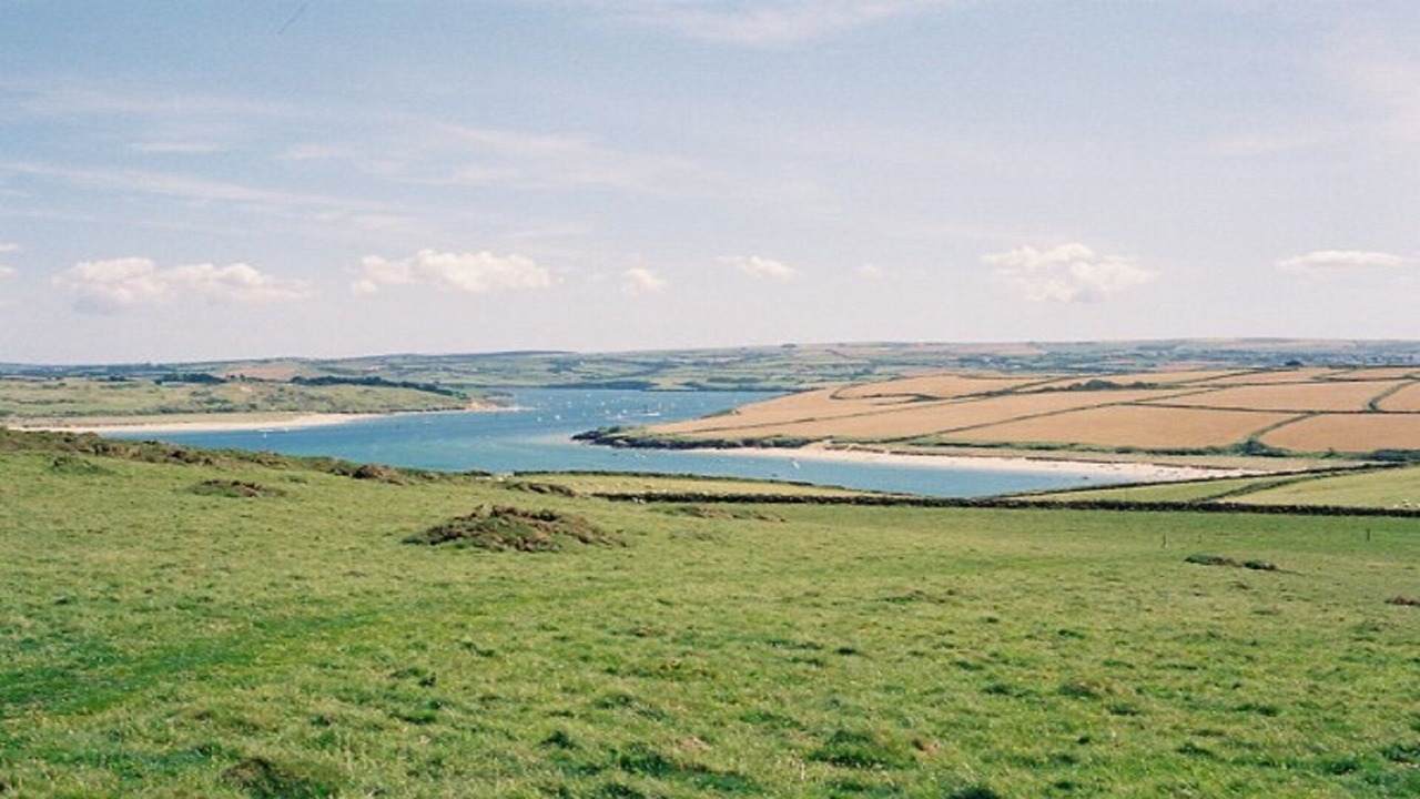 Photo of Others in Rock