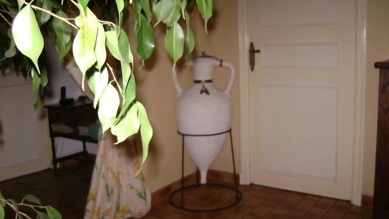 Photo of Others in Castelnau-d'Auzan