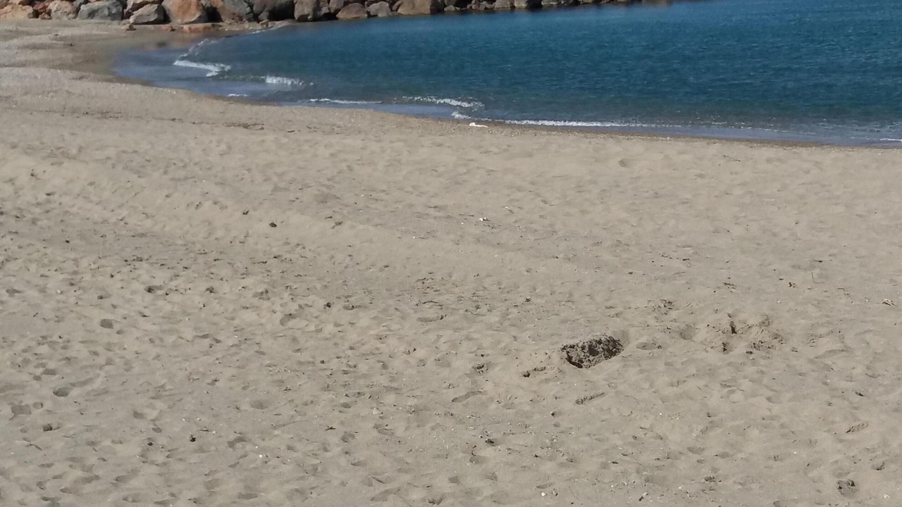 Photo of Others in Sainte-Marie-la-Mer