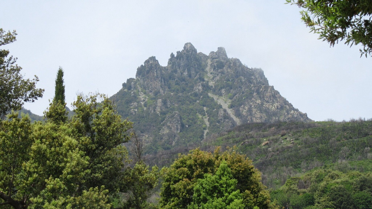 Photo of Others in Sisco