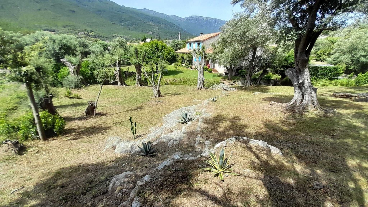 Photo of Outdoor in Sisco