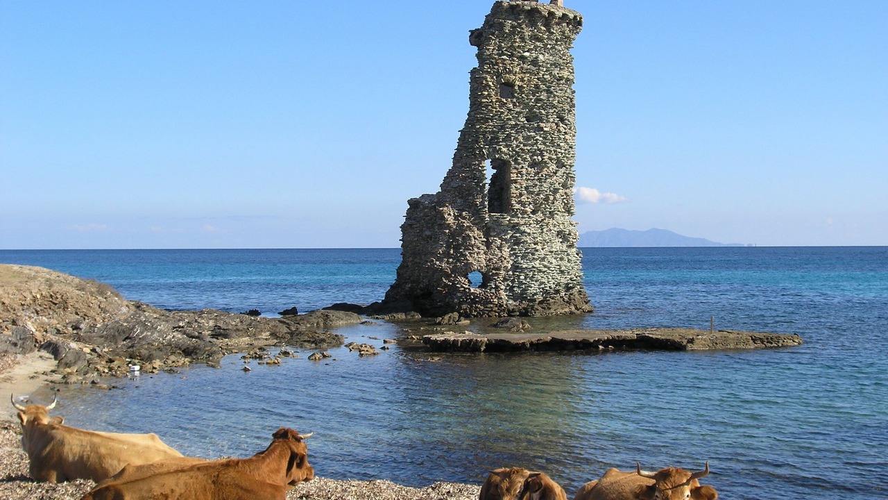 Photo of Others in Sisco