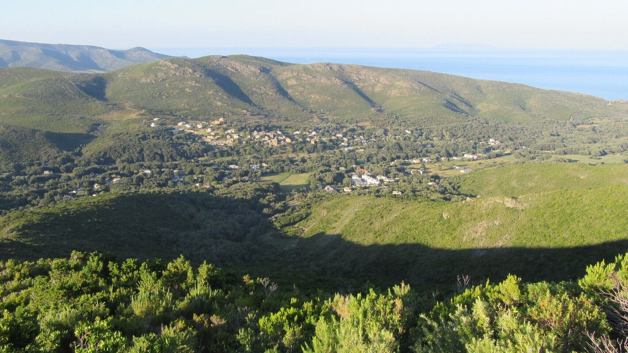 Photo of Others in Sisco