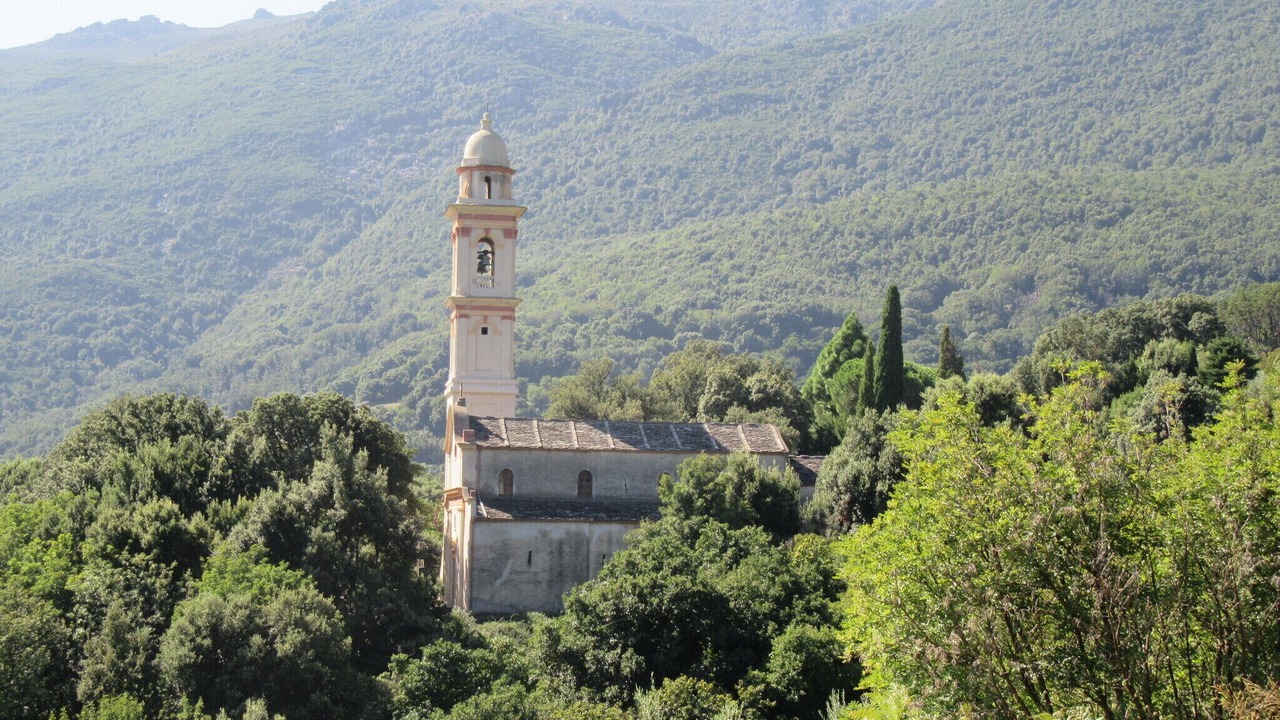 Photo of Others in Sisco