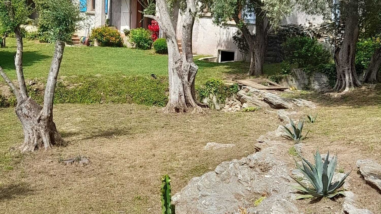 Photo of Outdoor in Sisco