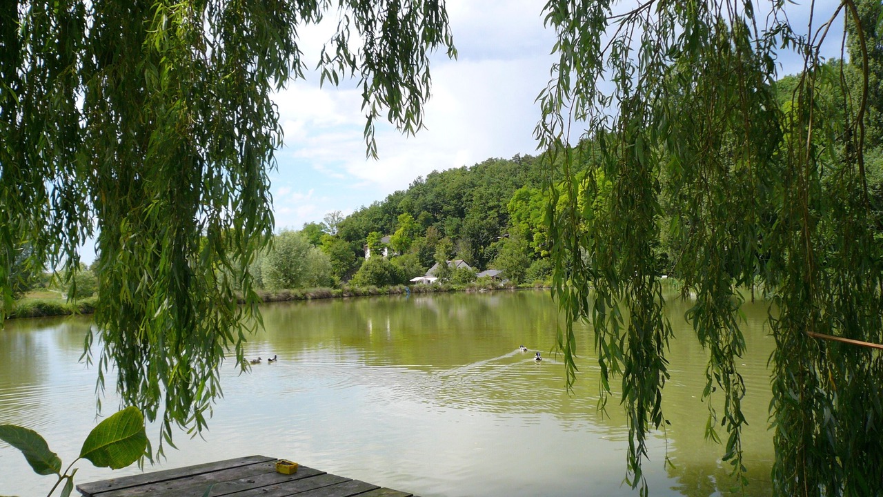 Photo of Outdoor in Saint-Epain