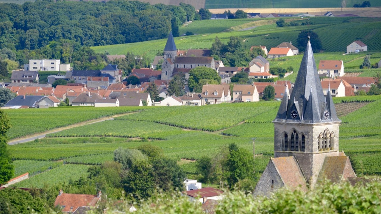 Photo of Outdoor in Pargny-les-Reims