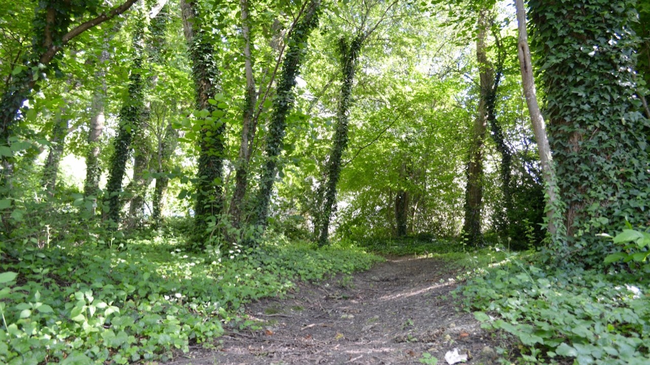 Photo of Outdoor in Pargny-les-Reims