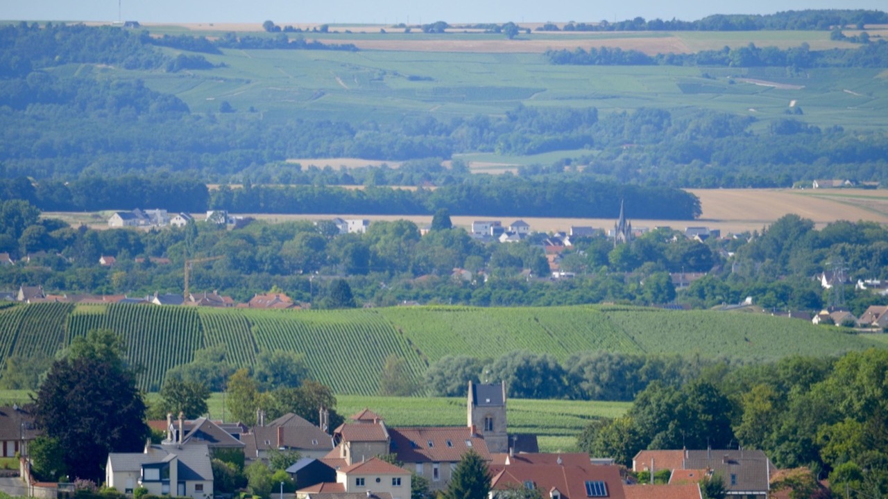Photo of Outdoor in Pargny-les-Reims
