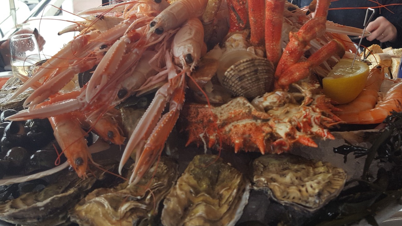 Photo of Others in Ploudalmezeau