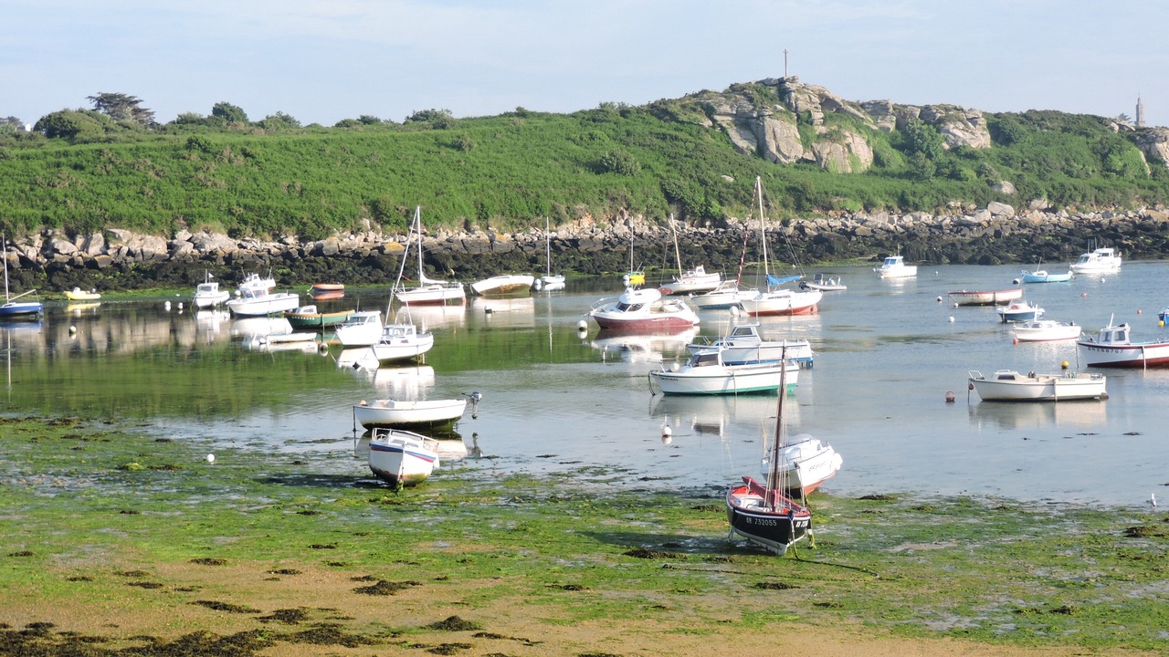 Photo of Others in Ploudalmezeau