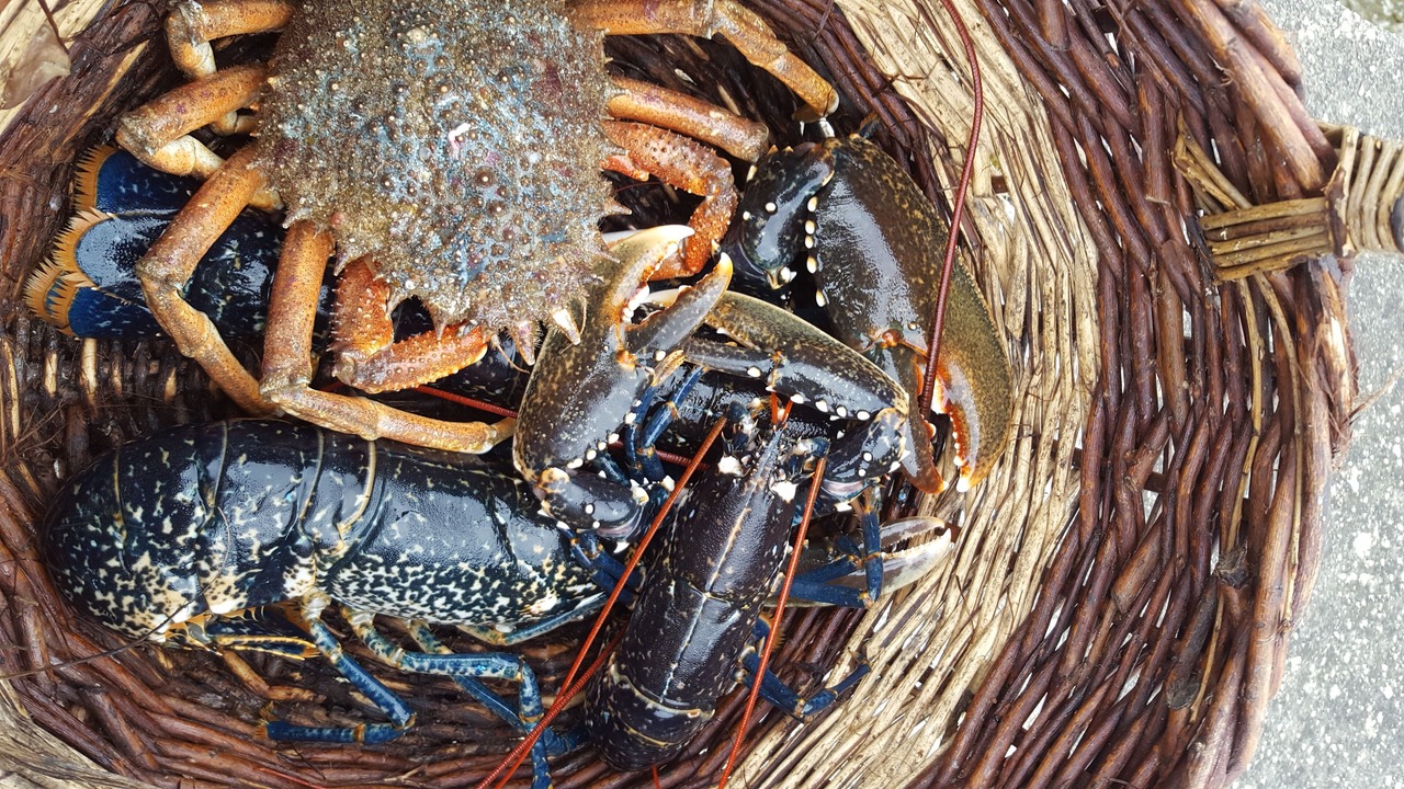 Photo of Others in Ploudalmezeau