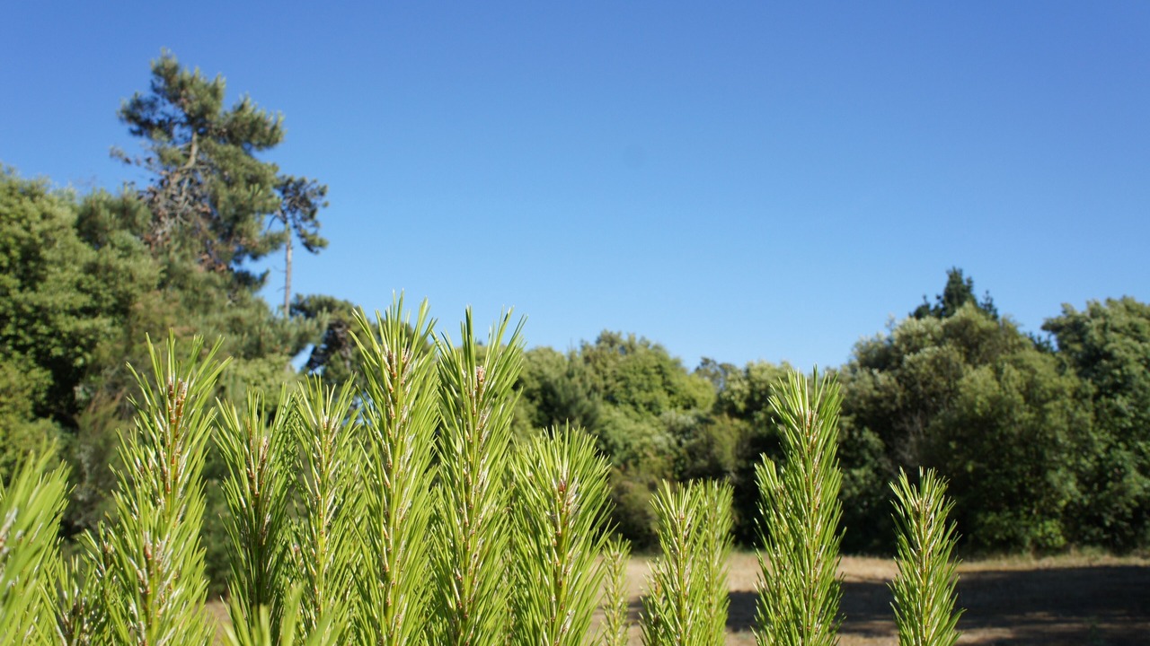 Photo of Outdoor in Ile d'Yeu