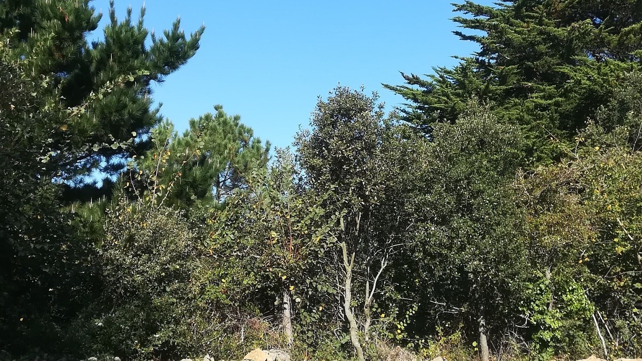 Photo of Outdoor in Ile d'Yeu